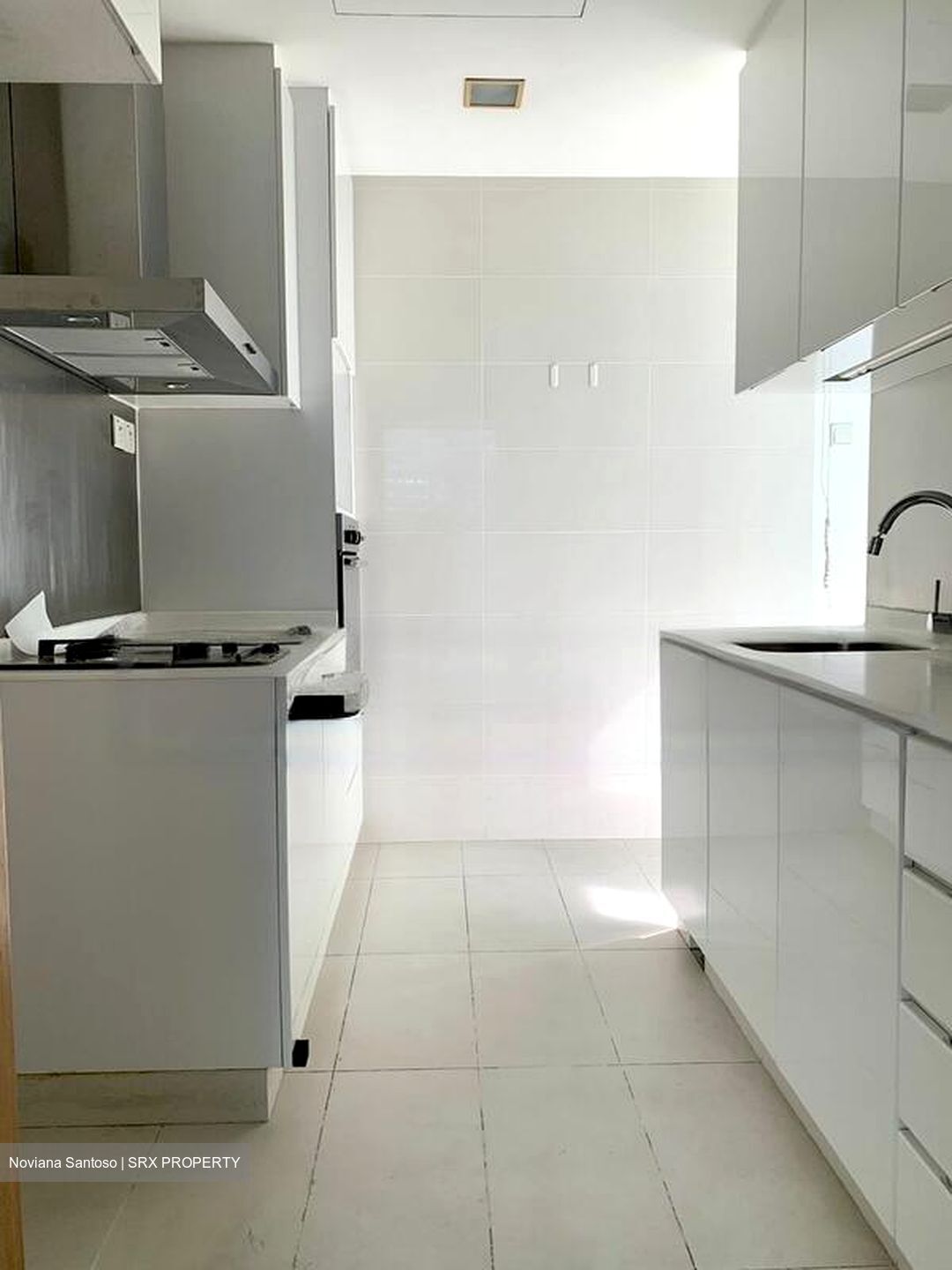 Park Infinia At Wee Nam (D11), Condominium #460215261